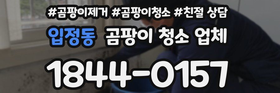 입정동 곰팡이 청소 업체