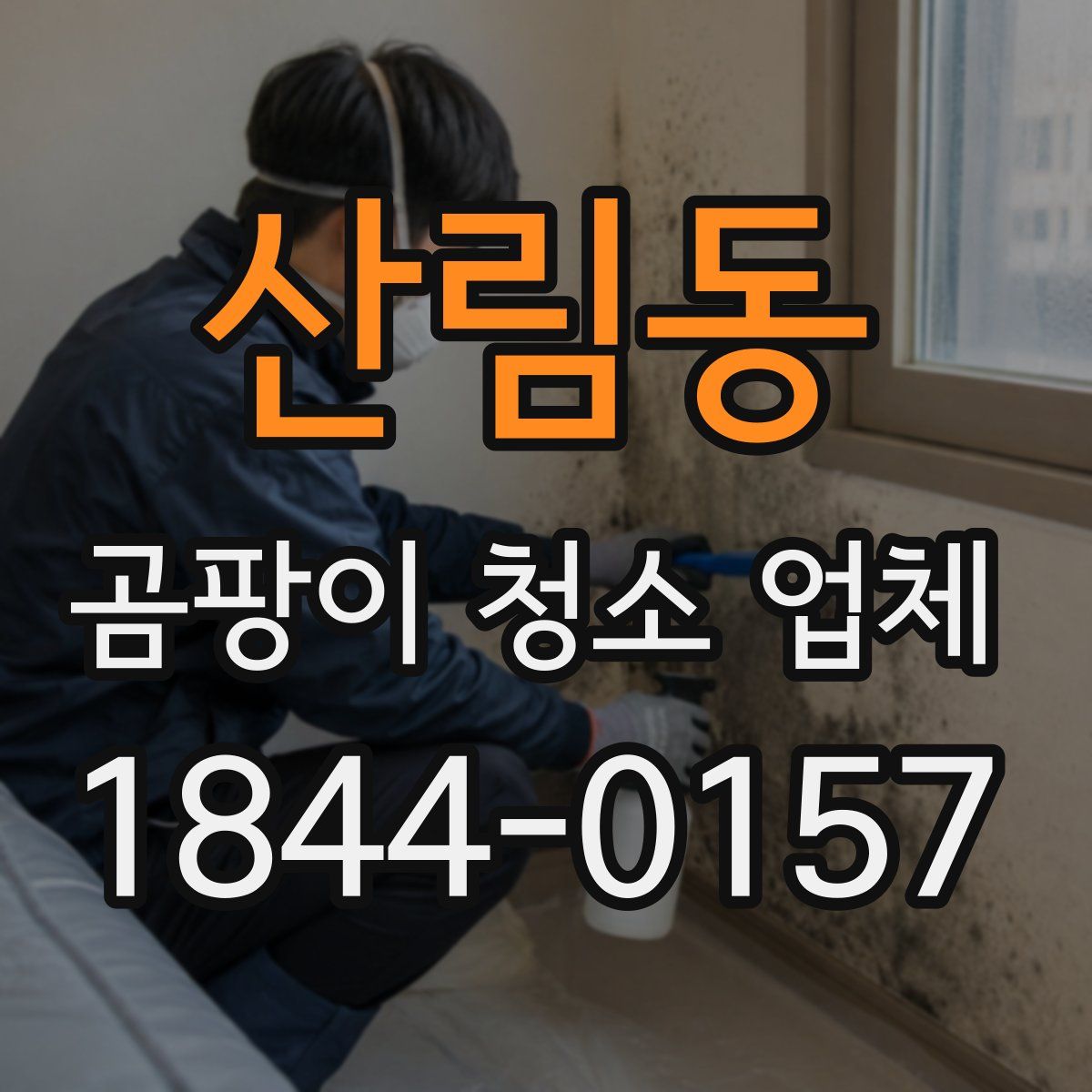 산림동 곰팡이 청소 업체