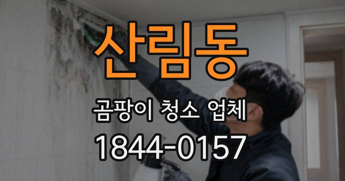 산림동 곰팡이 청소 업체