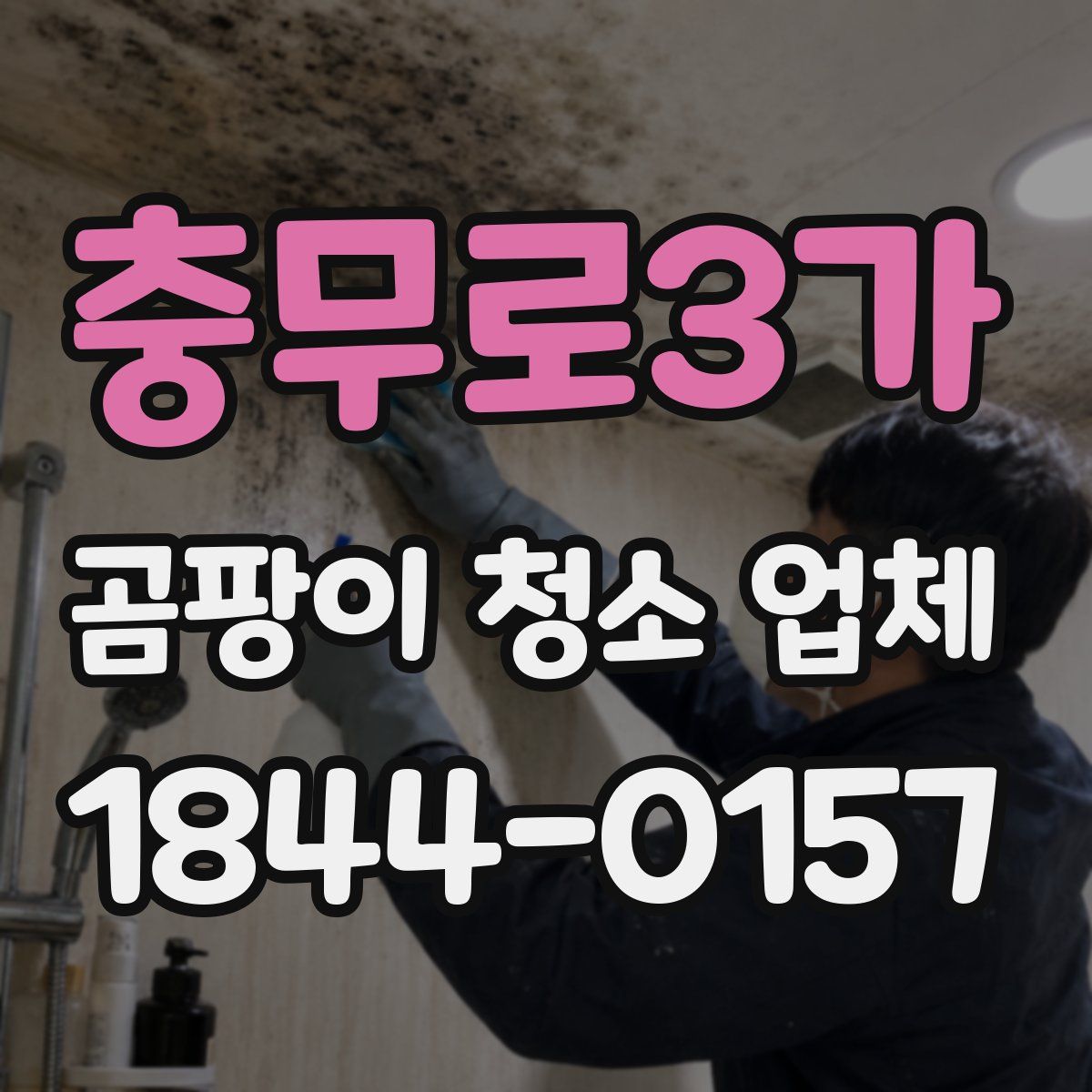 충무로3가 곰팡이 청소 업체