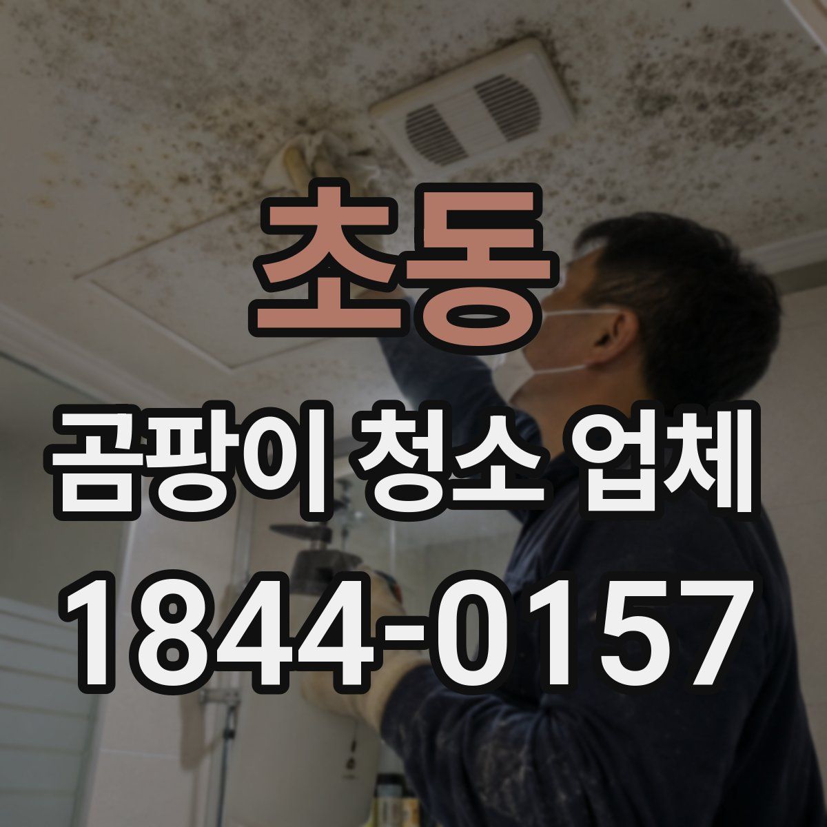 초동 곰팡이 청소 업체