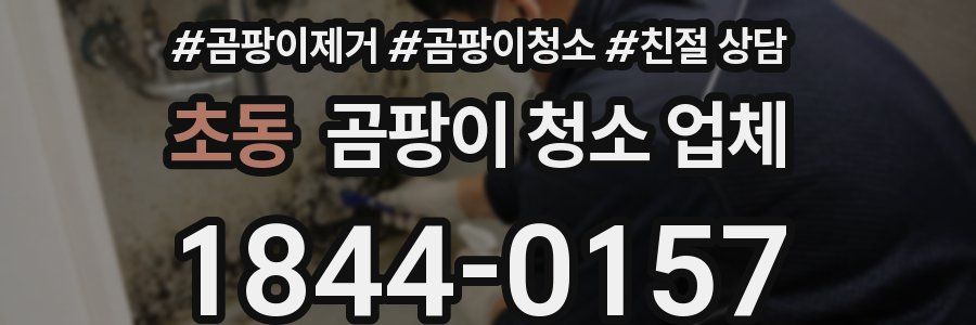 초동 곰팡이 청소 업체