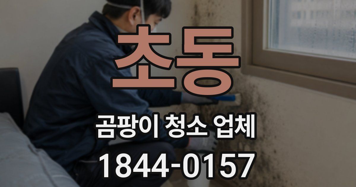 초동 곰팡이 청소 업체