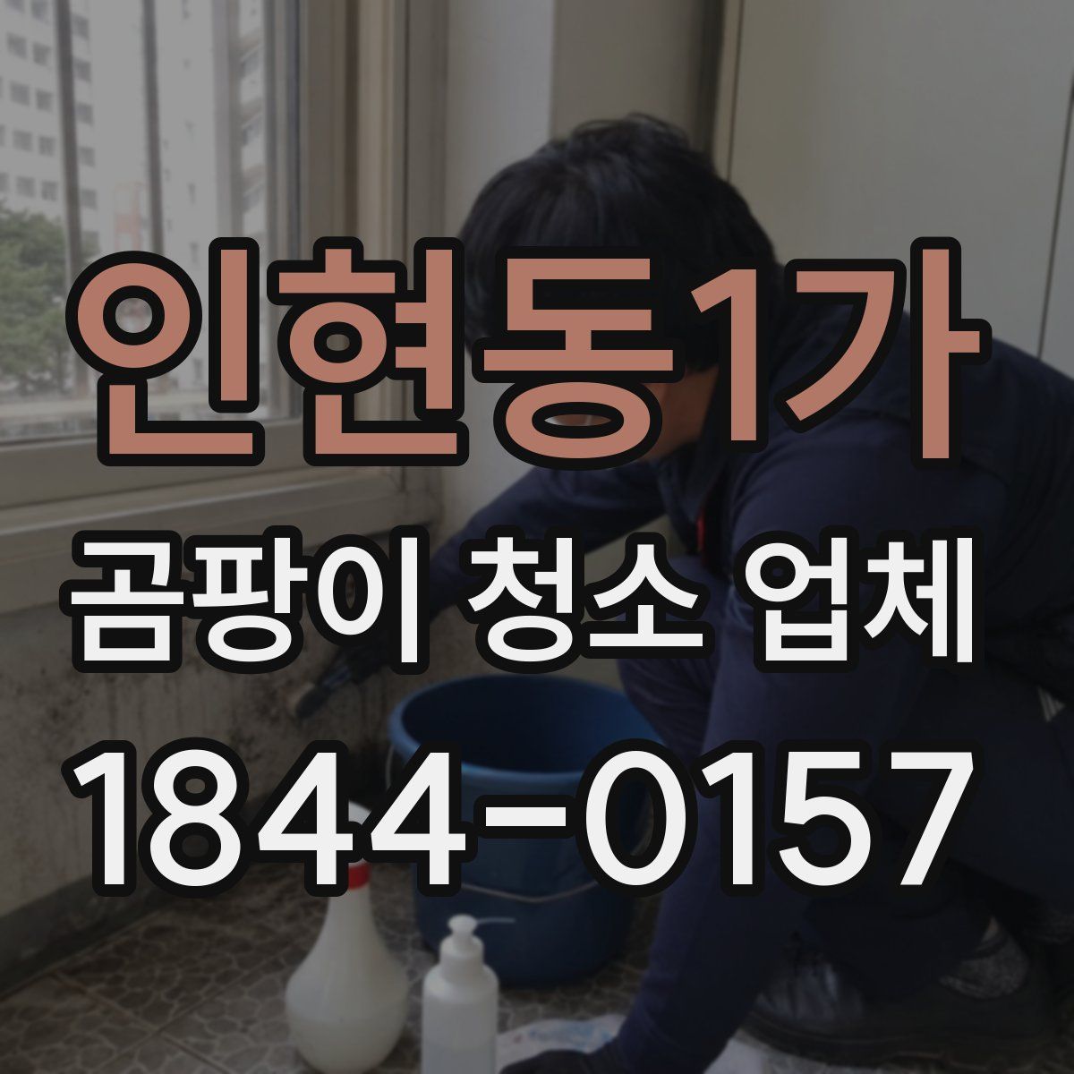 인현동1가 곰팡이 청소 업체