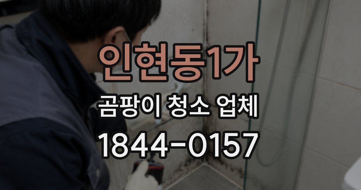인현동1가 곰팡이 청소 업체