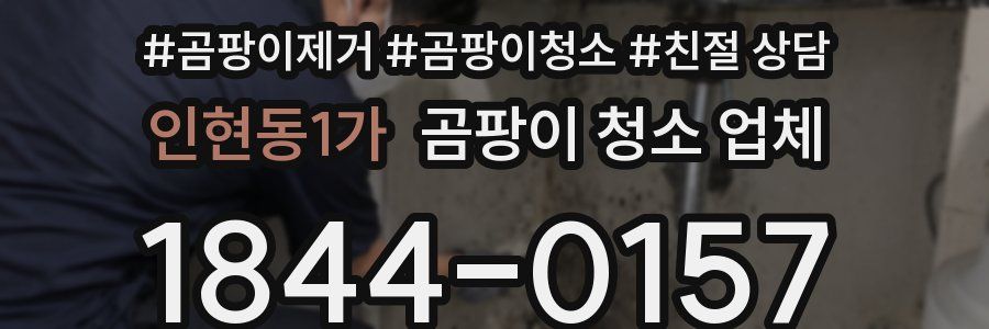 인현동1가 곰팡이 청소 업체