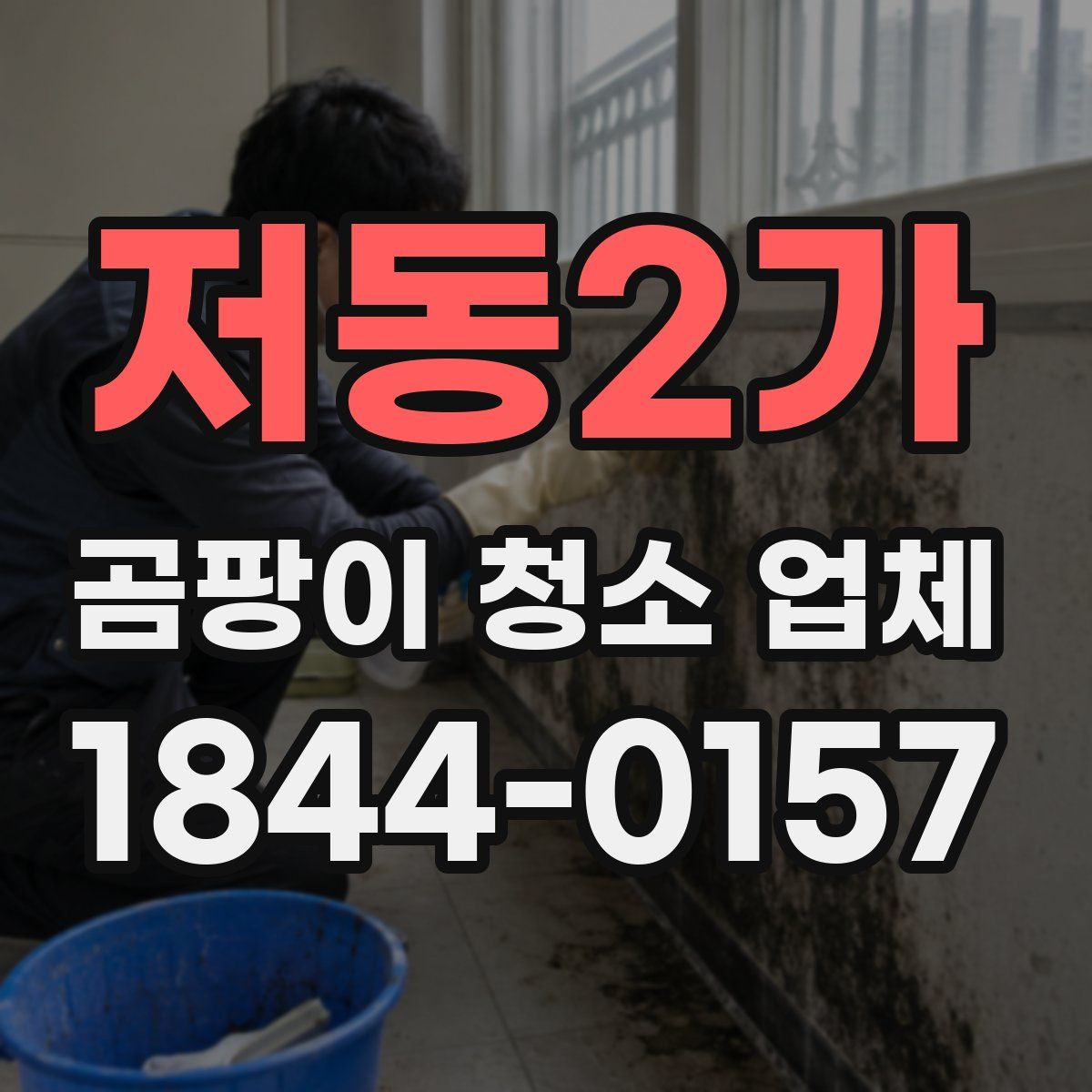 저동2가 곰팡이 청소 업체