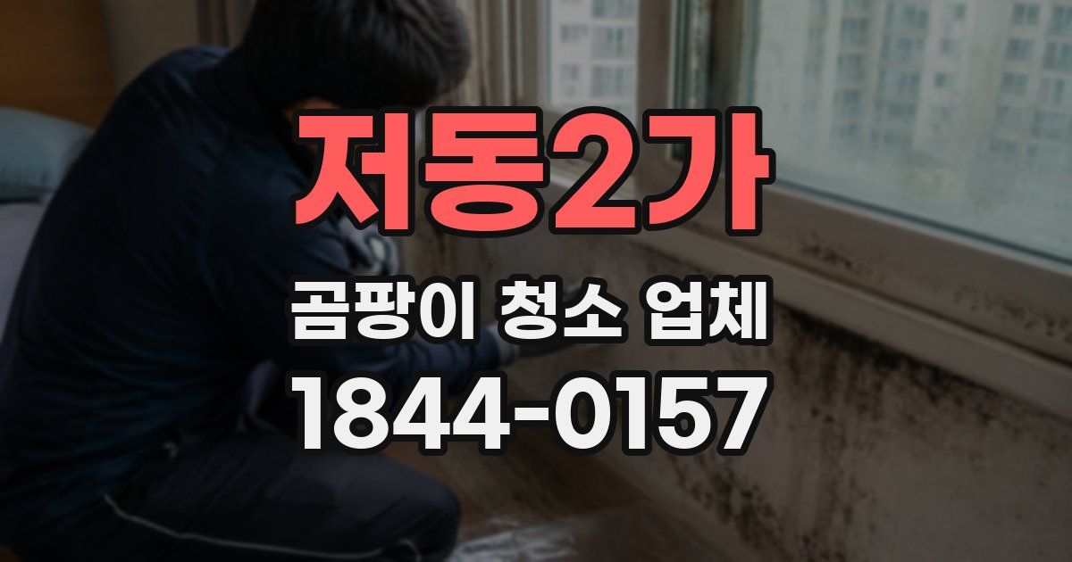 저동2가 곰팡이 청소 업체