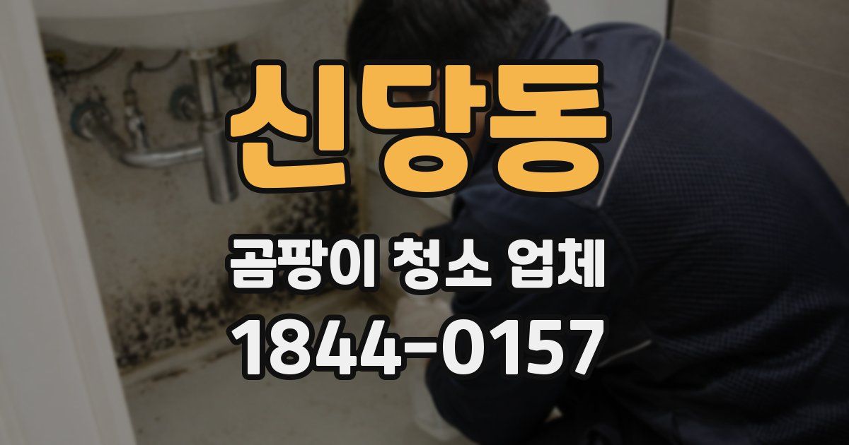 신당동 곰팡이 청소 업체