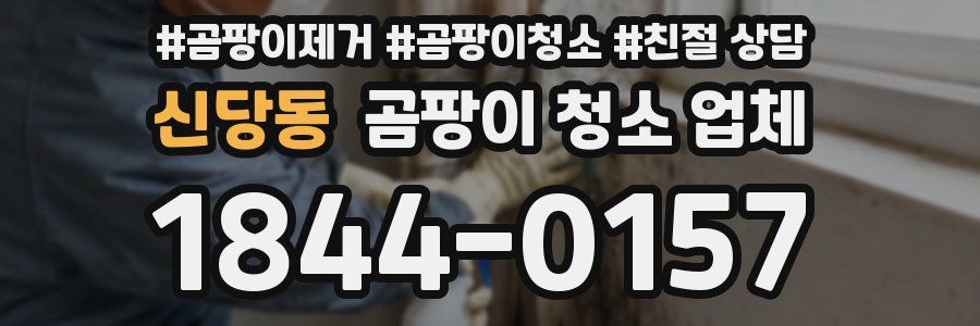 신당동 곰팡이 청소 업체
