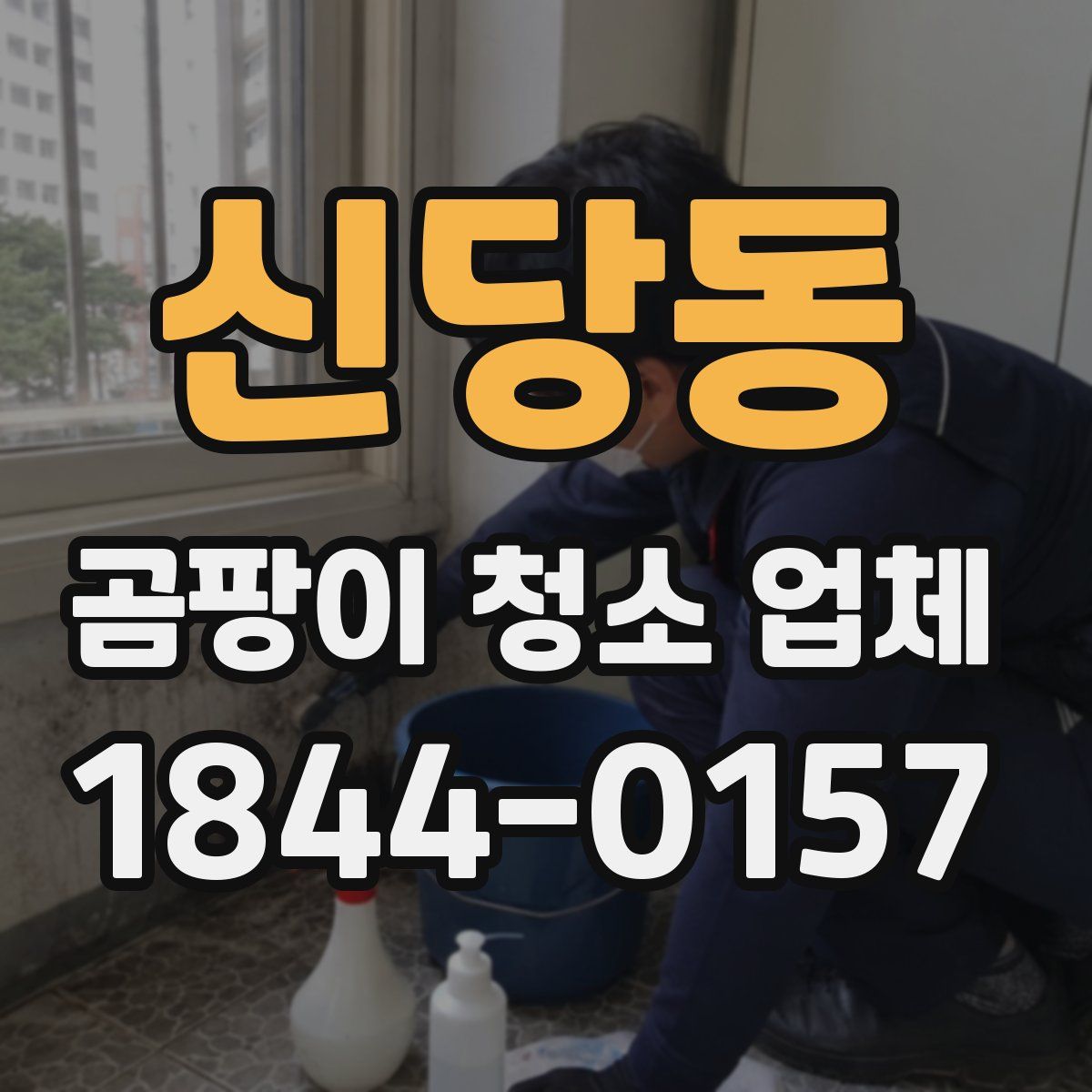 신당동 곰팡이 청소 업체