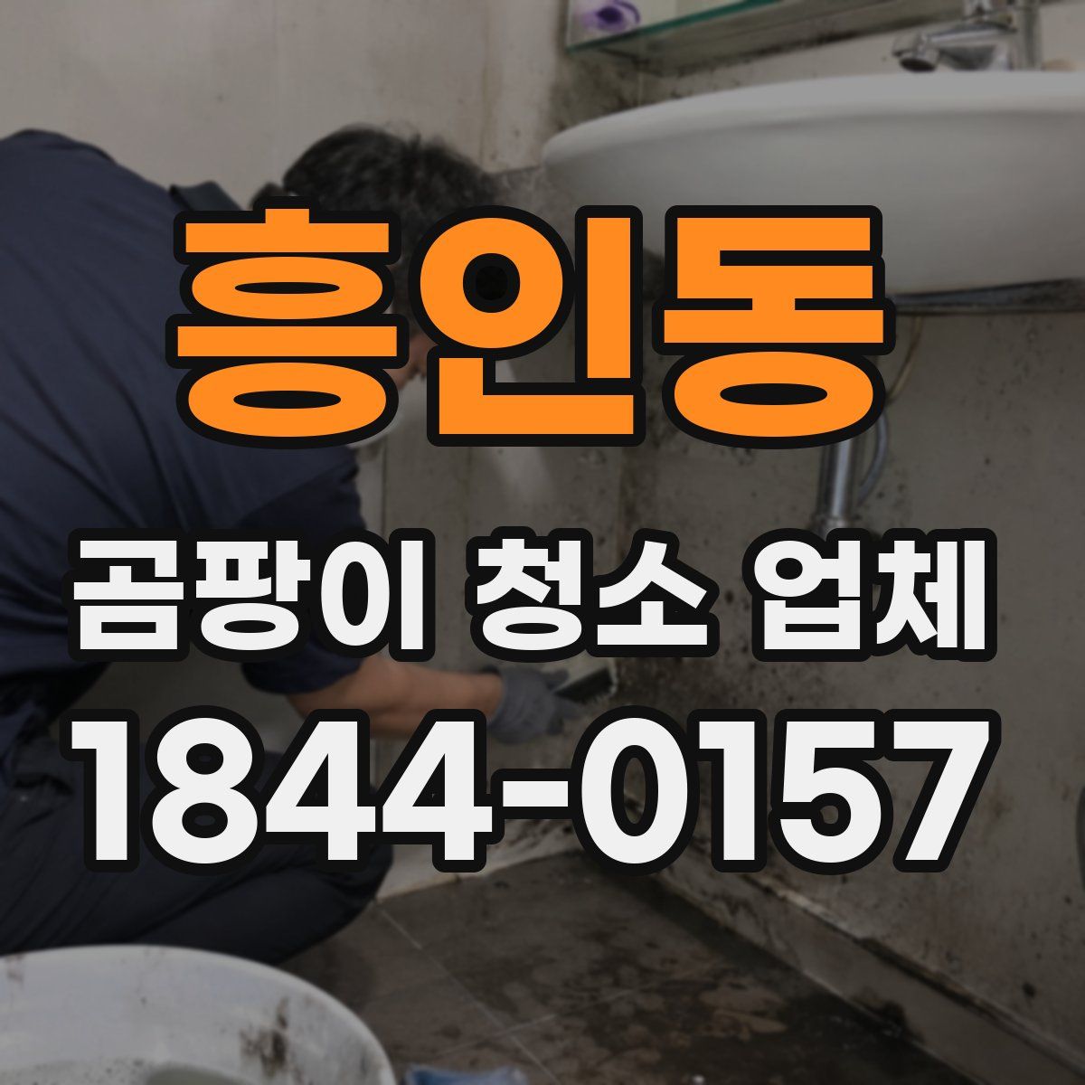 흥인동 곰팡이 청소 업체
