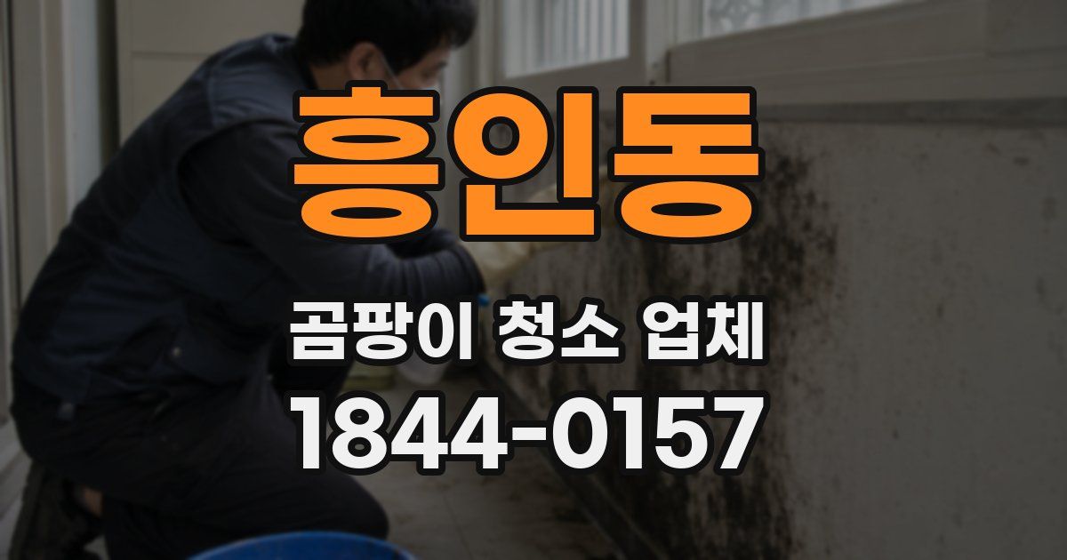 흥인동 곰팡이 청소 업체