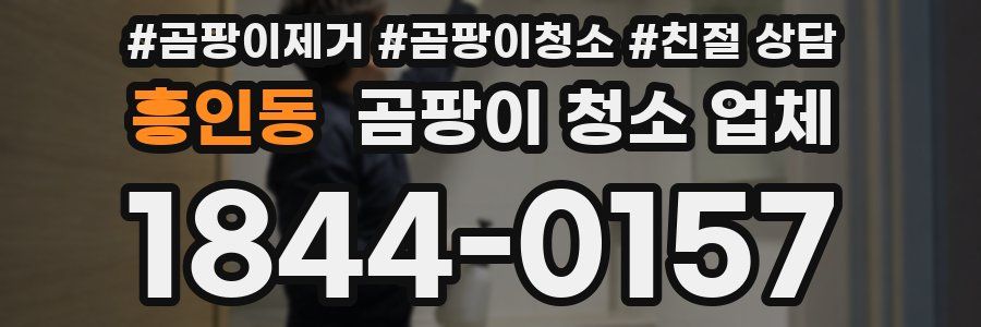 흥인동 곰팡이 청소 업체
