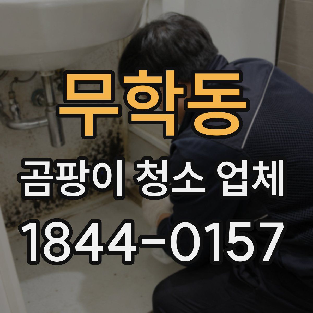 무학동 곰팡이 청소 업체
