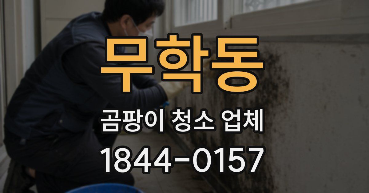 무학동 곰팡이 청소 업체