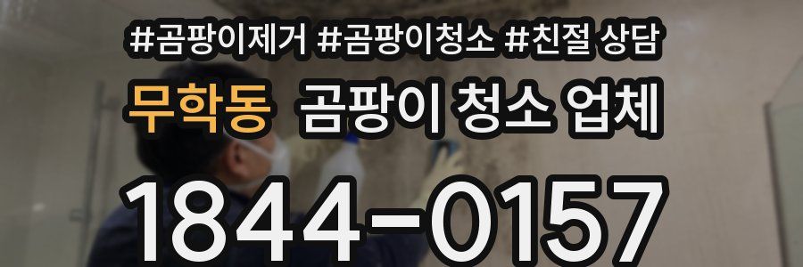 무학동 곰팡이 청소 업체