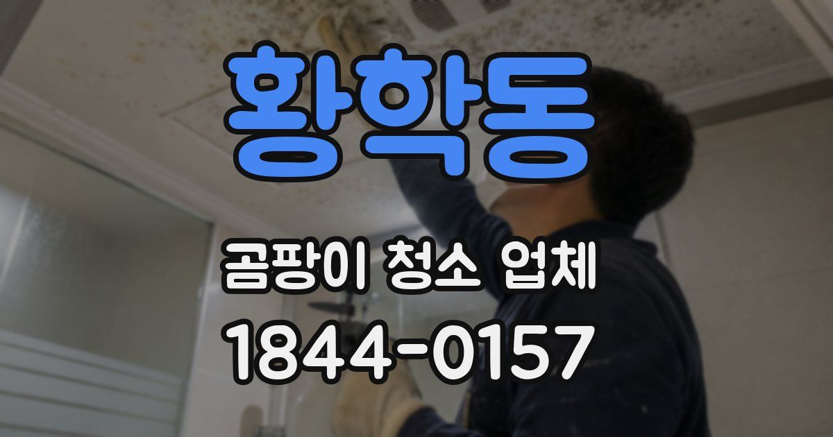 황학동 곰팡이 청소 업체