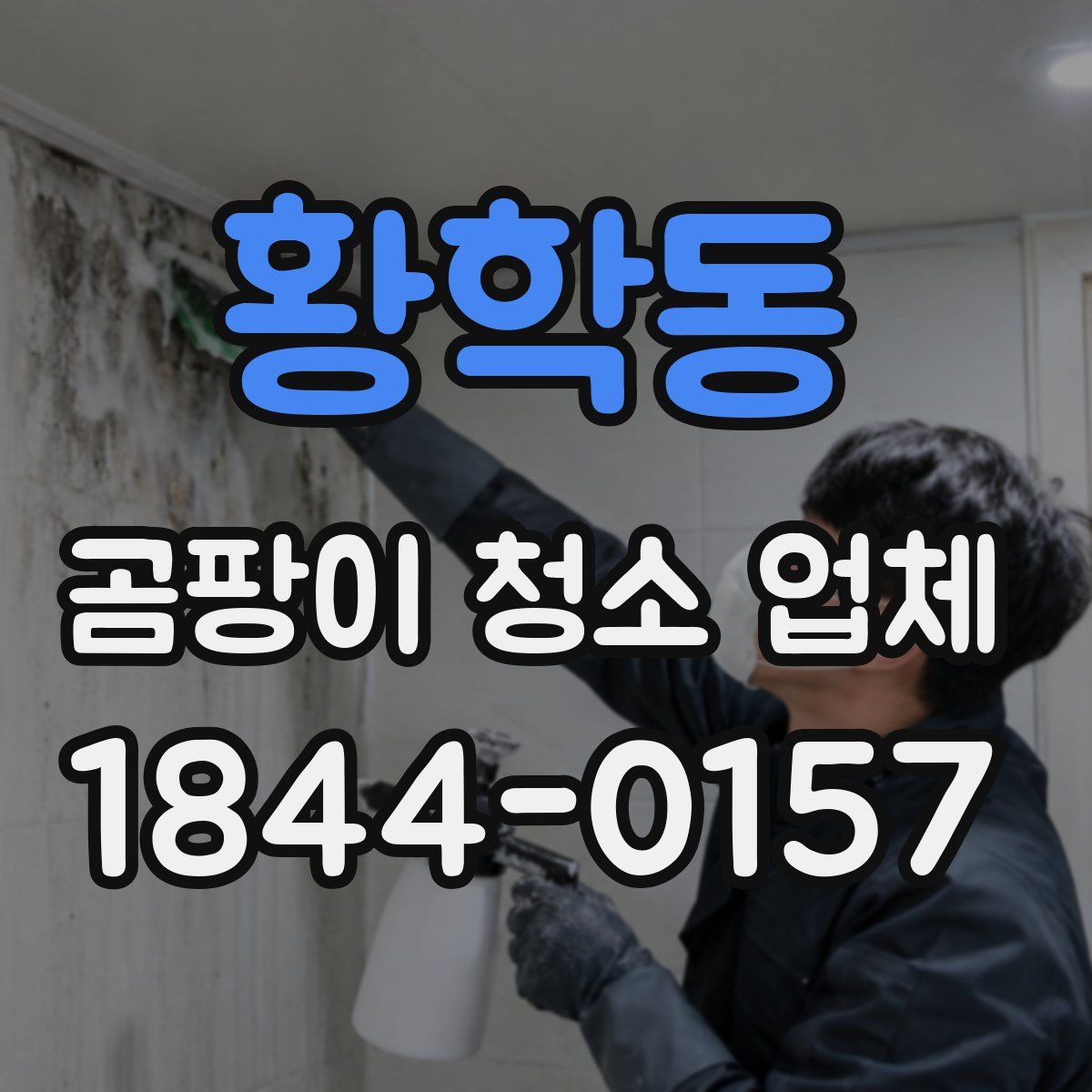 황학동 곰팡이 청소 업체