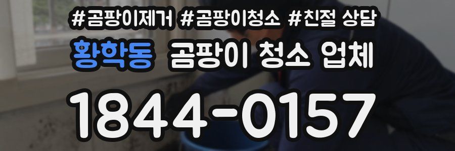황학동 곰팡이 청소 업체