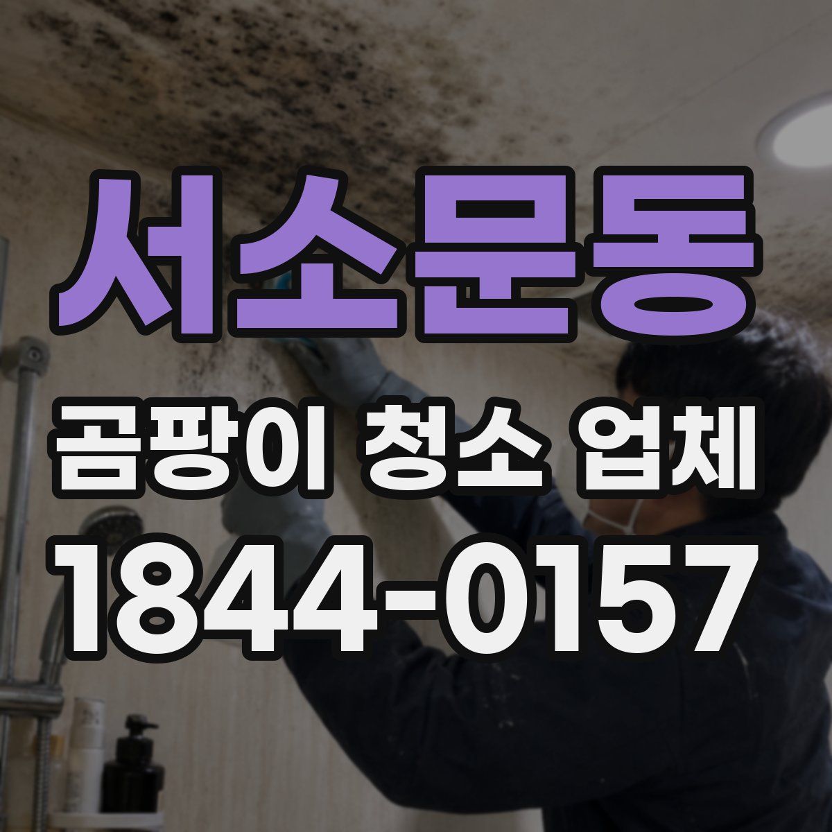 서소문동 곰팡이 청소 업체