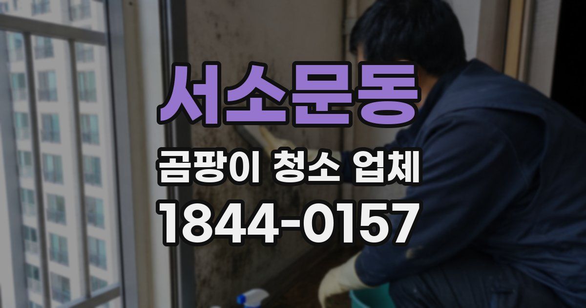 서소문동 곰팡이 청소 업체