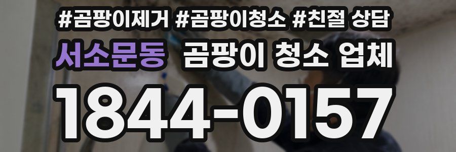 서소문동 곰팡이 청소 업체