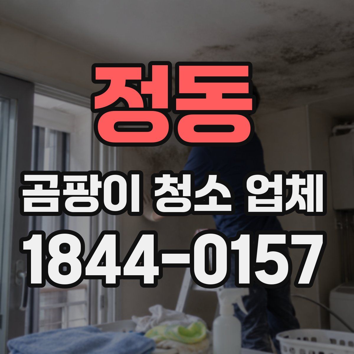 정동 곰팡이 청소 업체