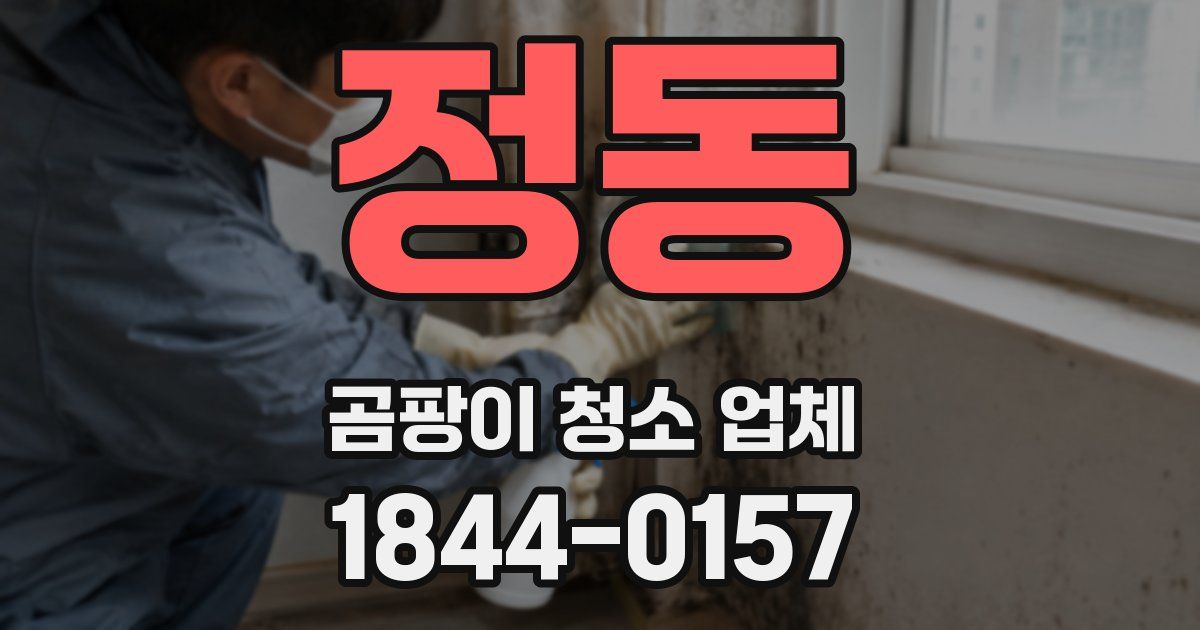 정동 곰팡이 청소 업체