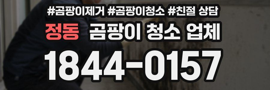 정동 곰팡이 청소 업체
