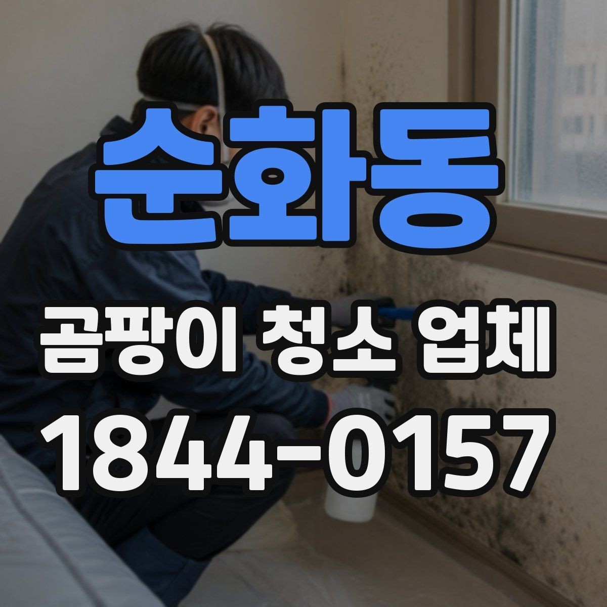 순화동 곰팡이 청소 업체 비용은 어떻게 달라질까