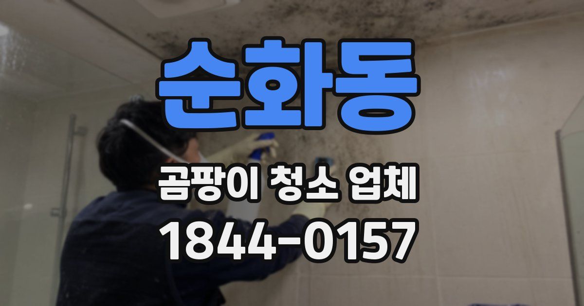 순화동 곰팡이 청소 업체