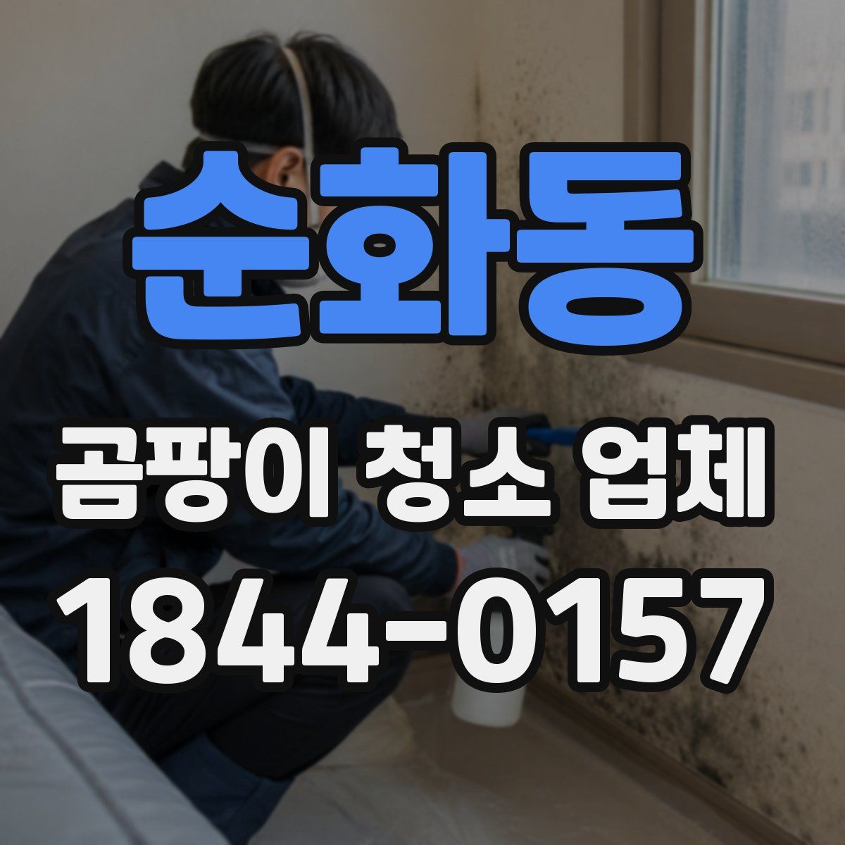 순화동 곰팡이 청소 업체