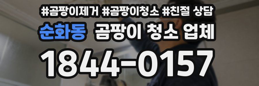 순화동 곰팡이 청소 업체