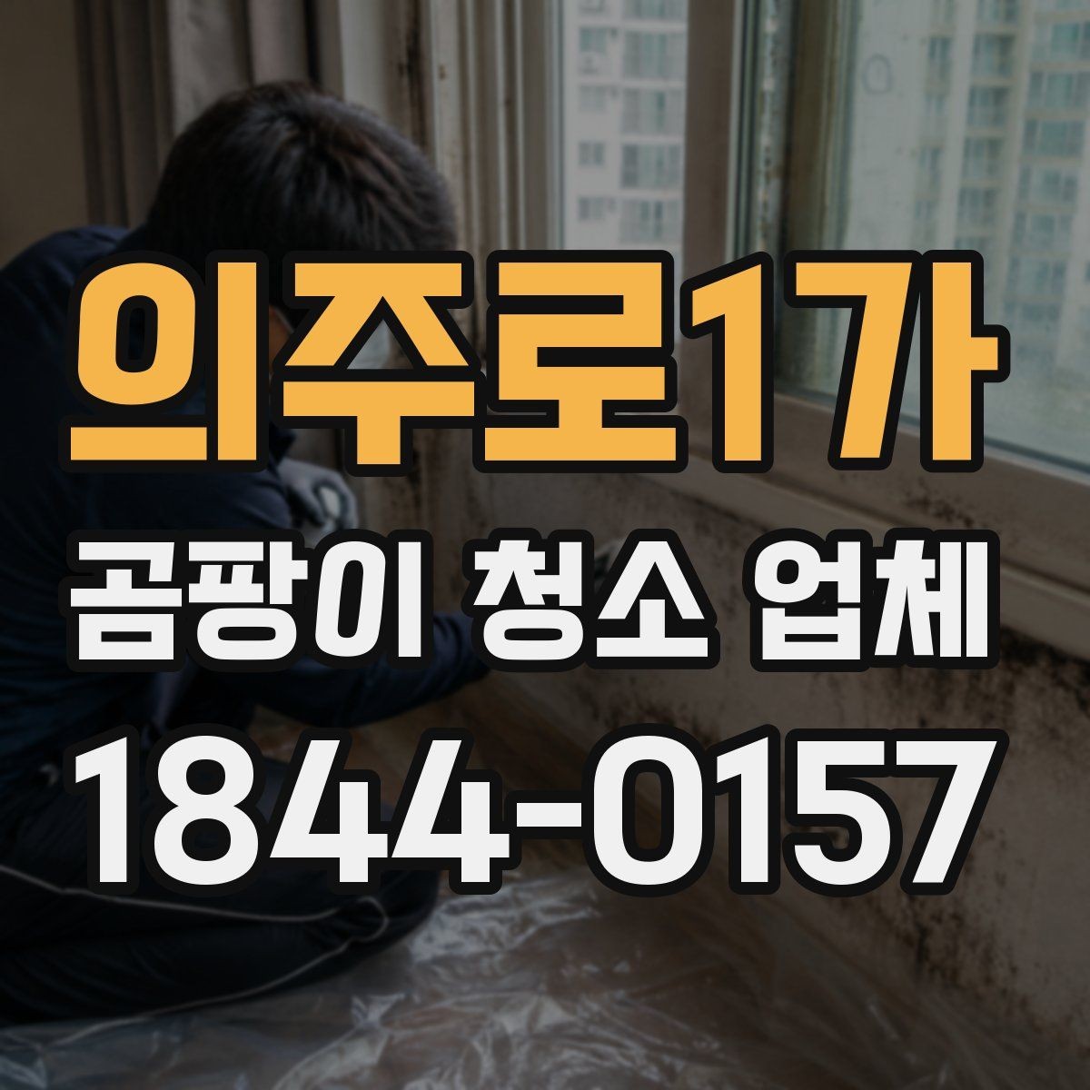 의주로1가 곰팡이 청소 업체 선택 전 확인할 기준