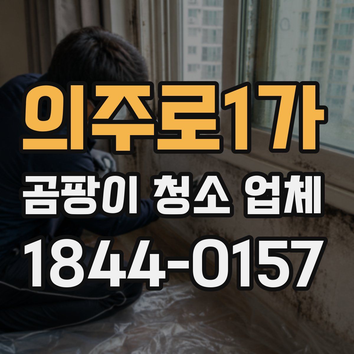 의주로1가 곰팡이 청소 업체