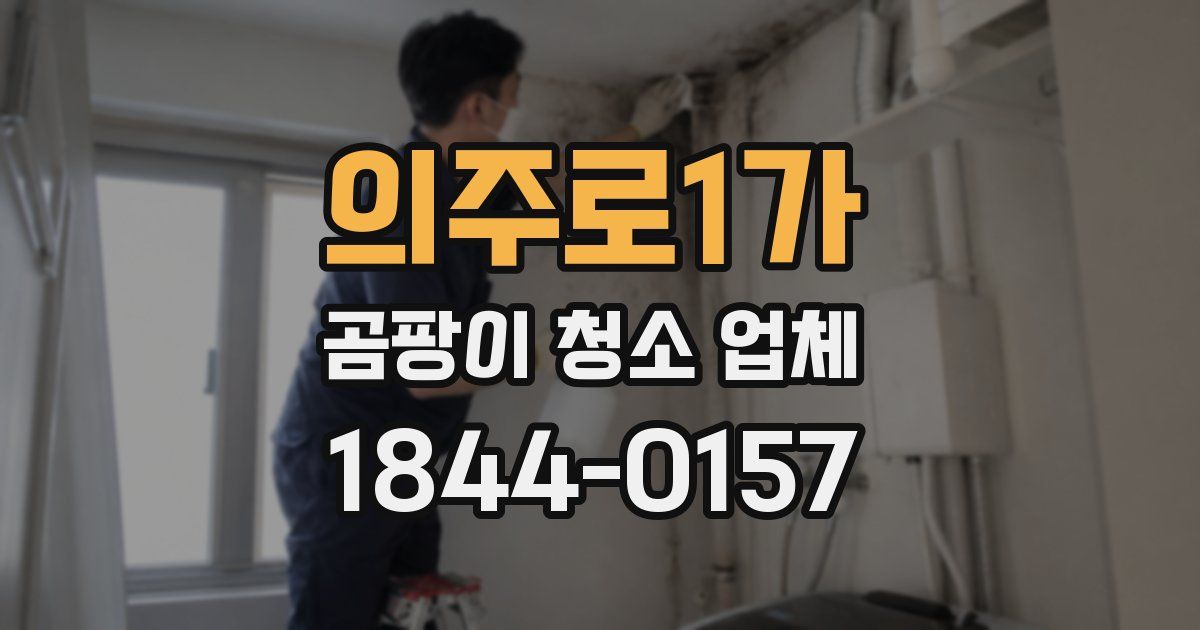 의주로1가 곰팡이 청소 업체
