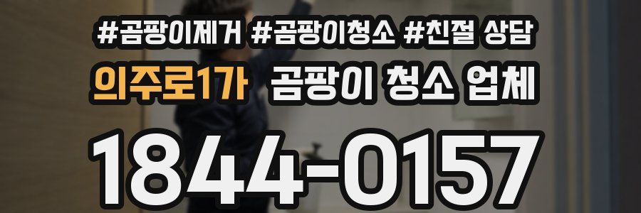 의주로1가 곰팡이 청소 업체