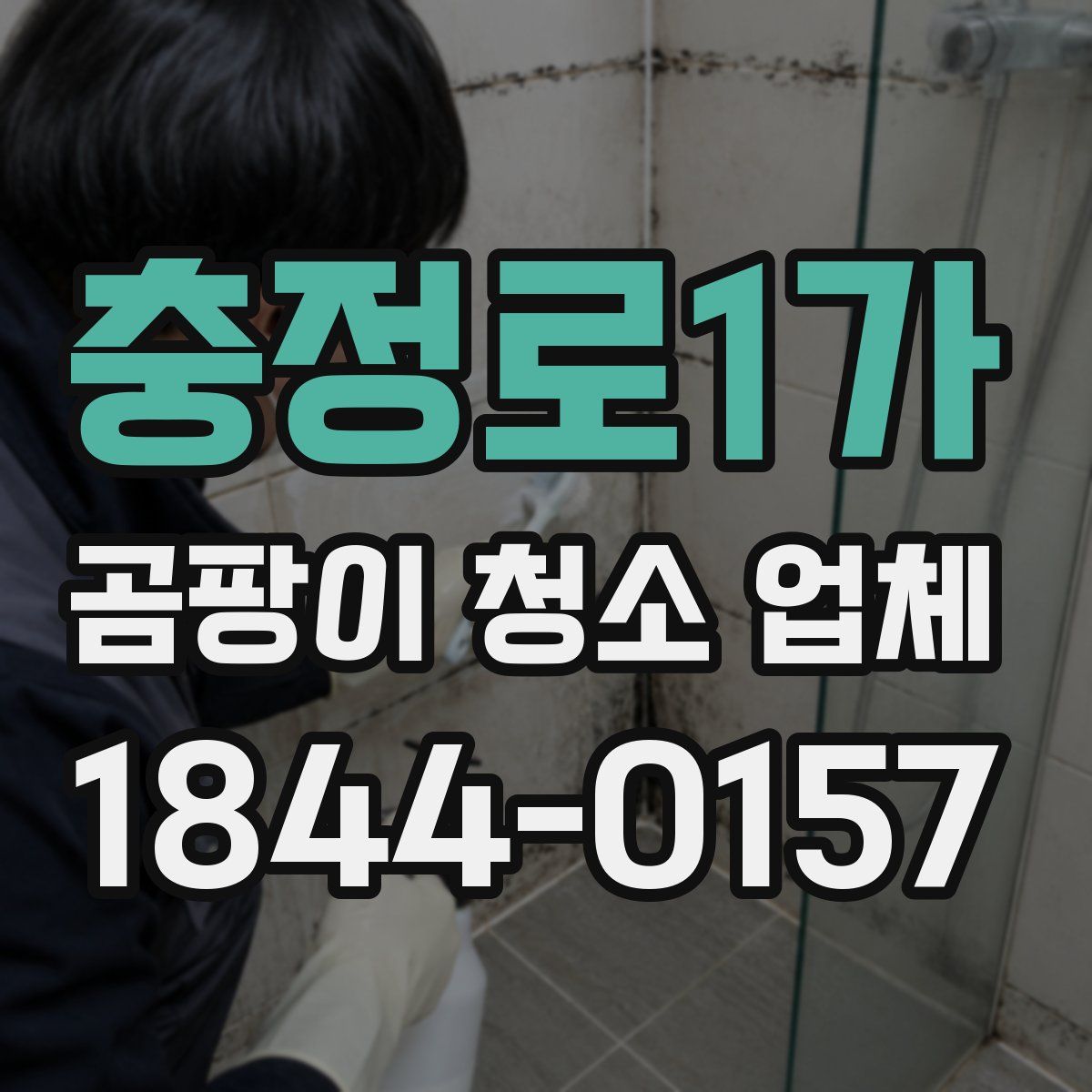충정로1가 곰팡이 청소 업체