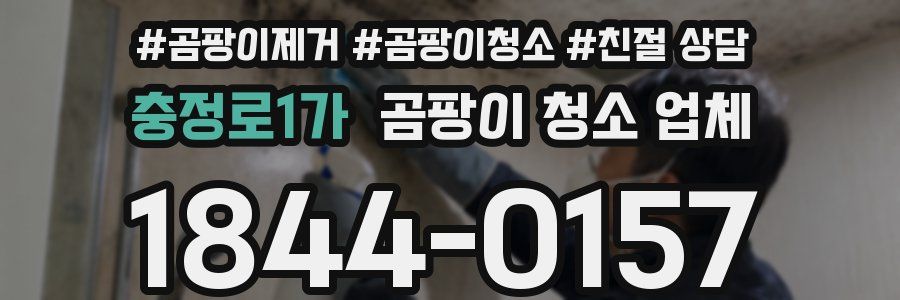 충정로1가 곰팡이 청소 업체