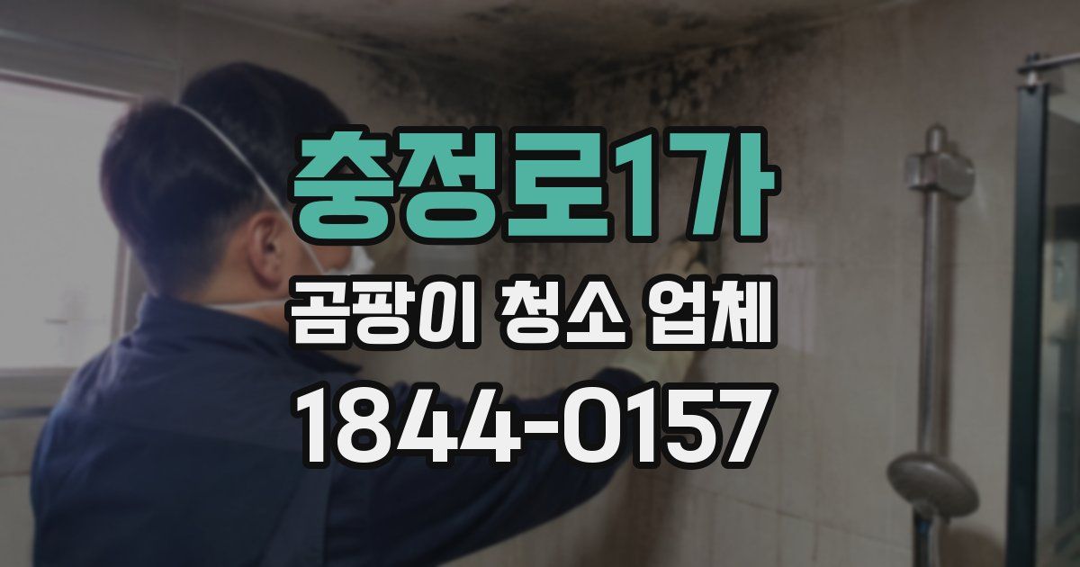 충정로1가 곰팡이 청소 업체