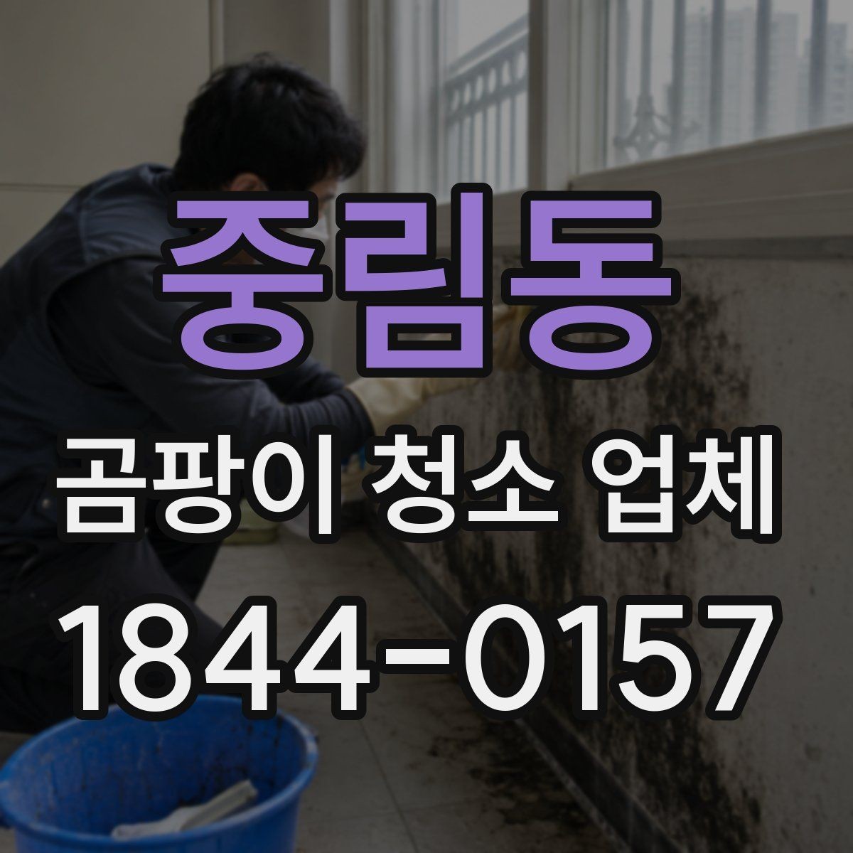중림동 곰팡이 청소 업체 작업 범위가 넓어지는 경우
