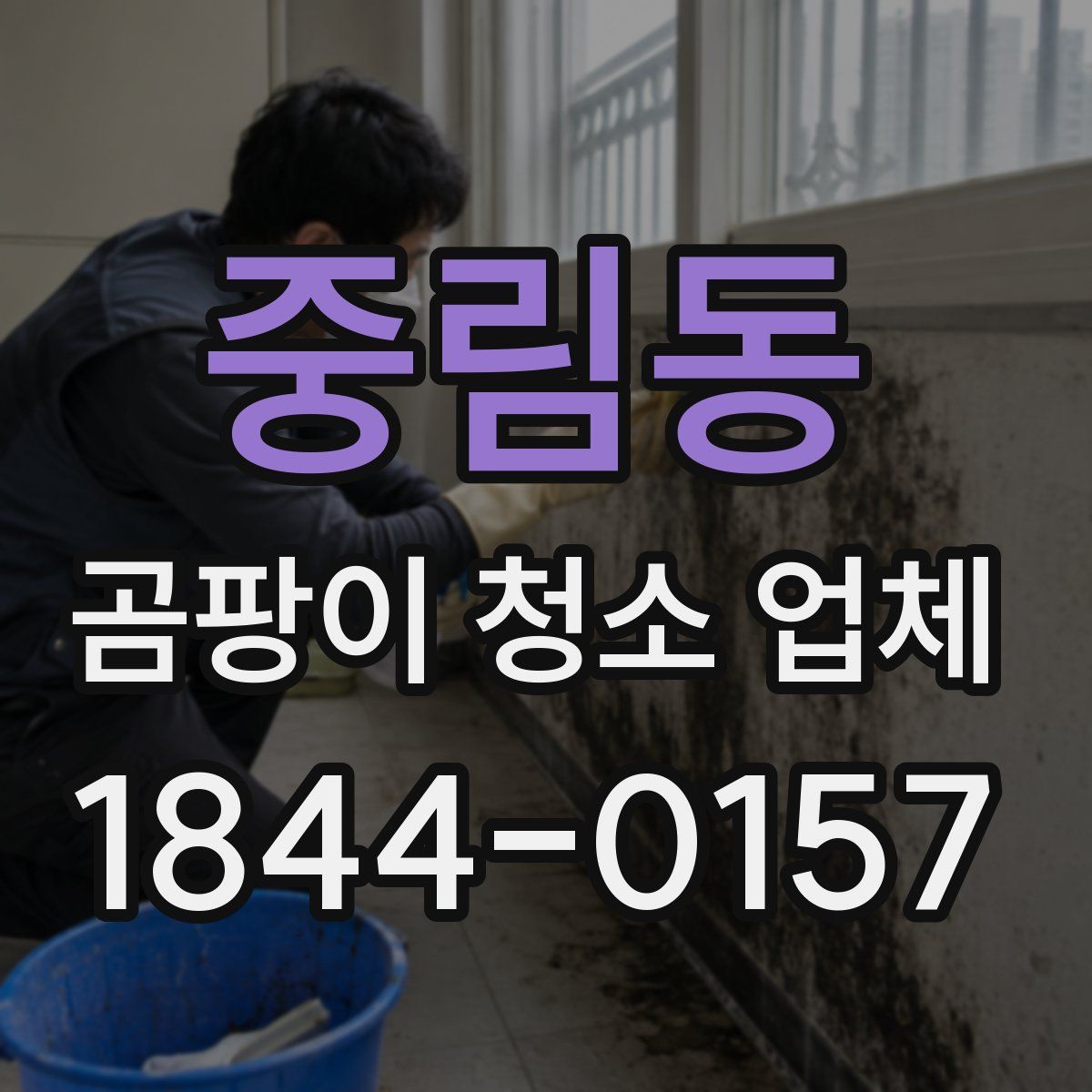 중림동 곰팡이 청소 업체