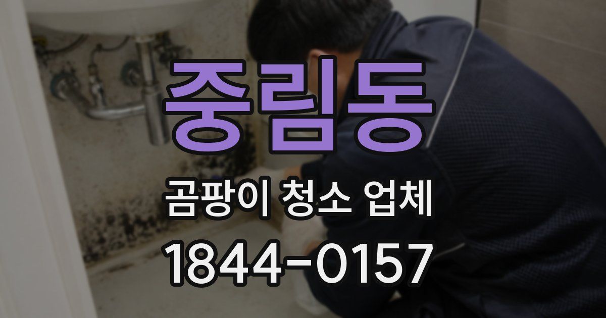 중림동 곰팡이 청소 업체
