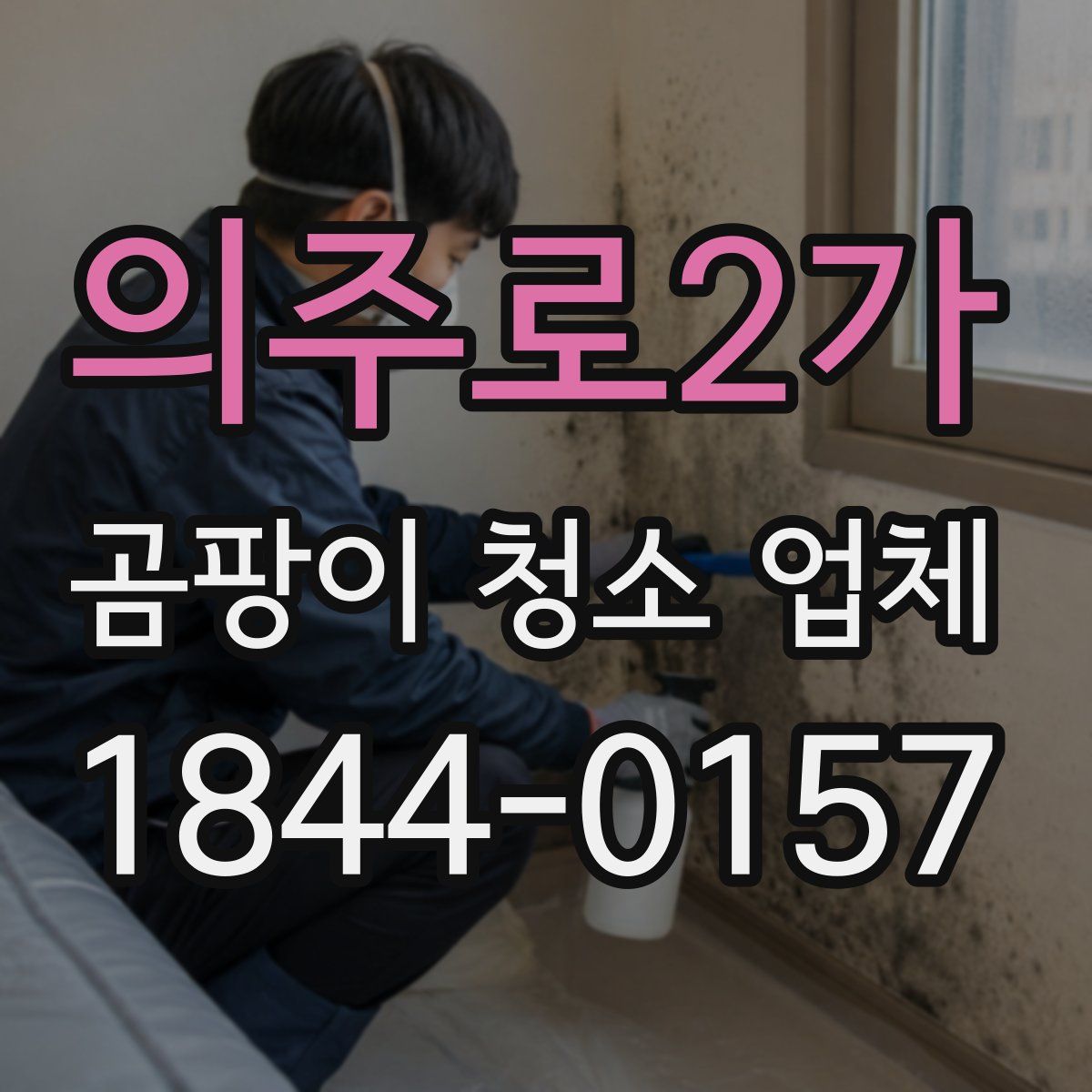 의주로2가 곰팡이 청소 업체