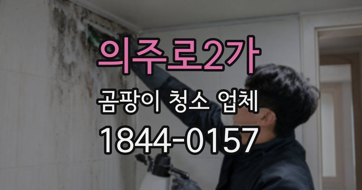 의주로2가 곰팡이 청소 업체