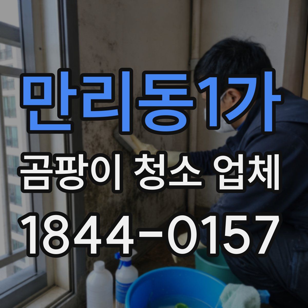 만리동1가 곰팡이 청소 업체