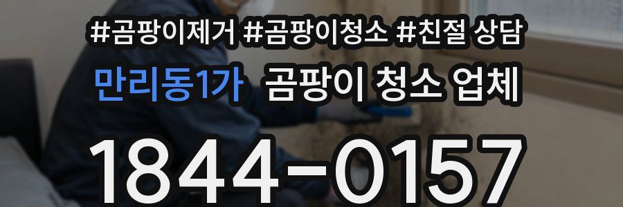 만리동1가 곰팡이 청소 업체