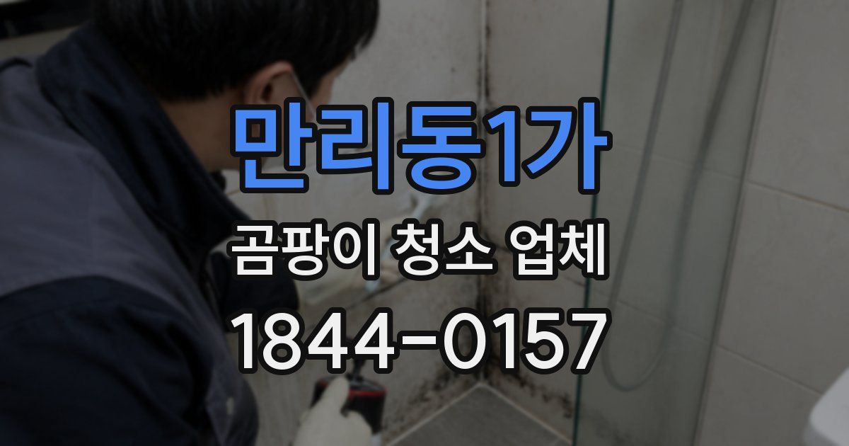 만리동1가 곰팡이 청소 업체