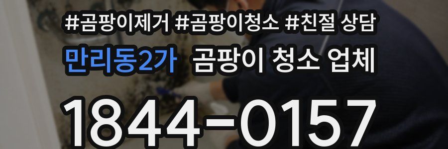 만리동2가 곰팡이 청소 업체